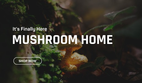 (c) Mushroomshome.com