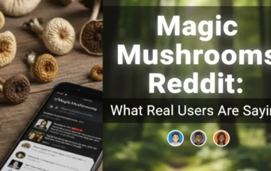Reddit users
