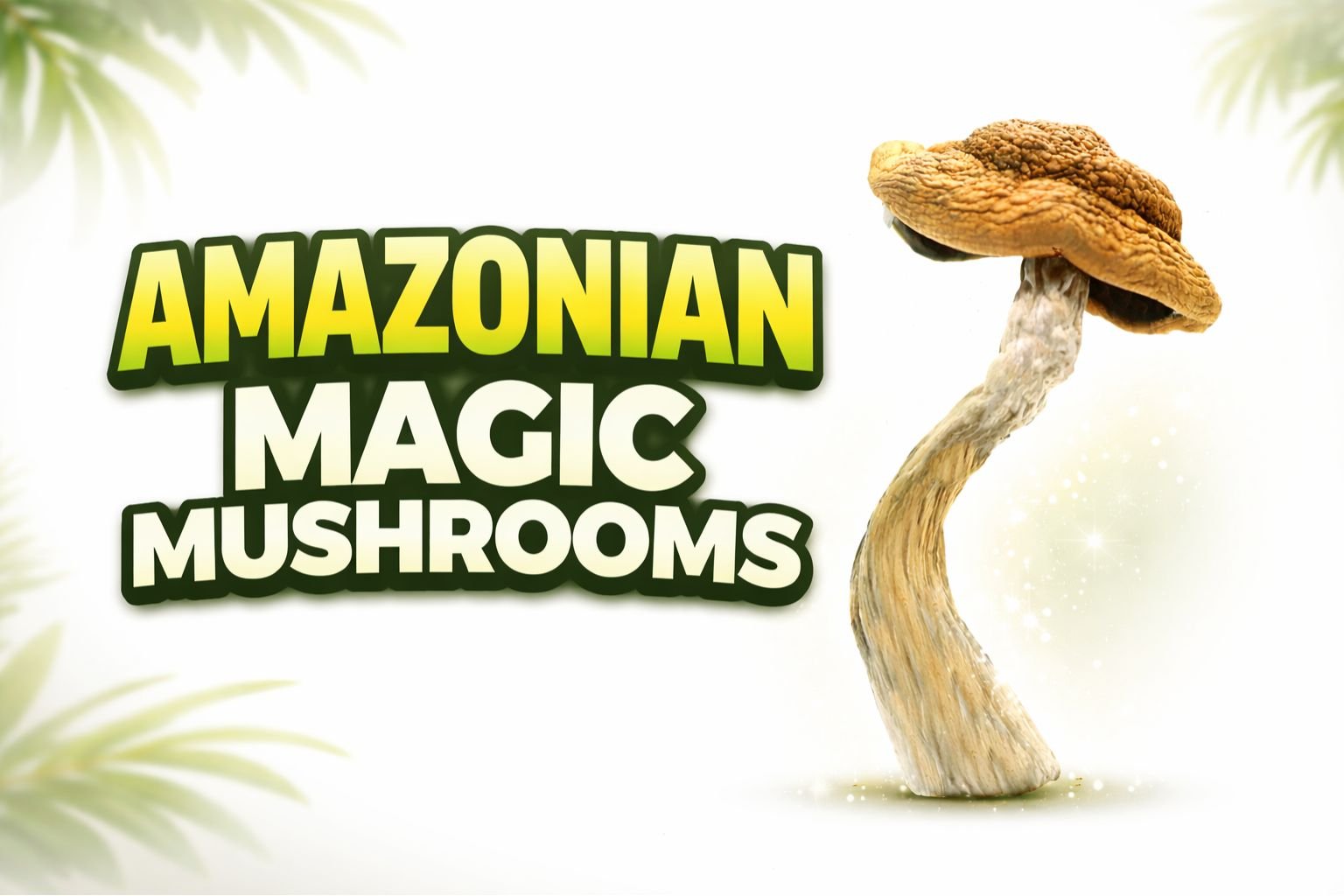 amazonian magic mushroom